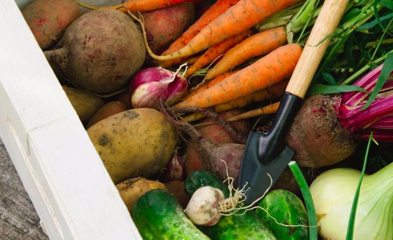 How To Grow Vegetables, Fruits And Herbs In Small Spaces | Hachette UK