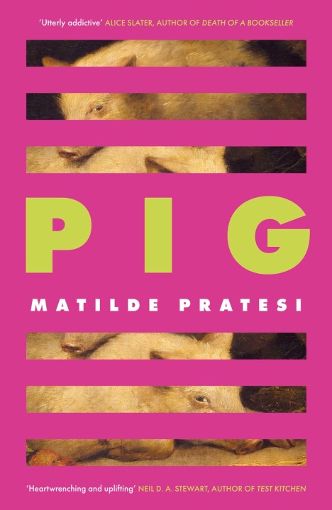 Pig